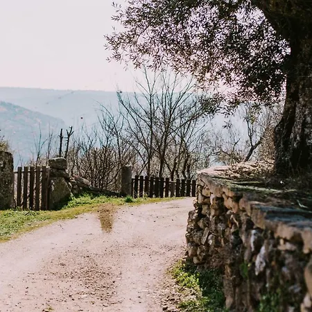 Casa Do Regedor Palacoulo