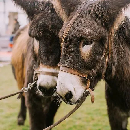 Casa Do Regedor Séjour à la campagne