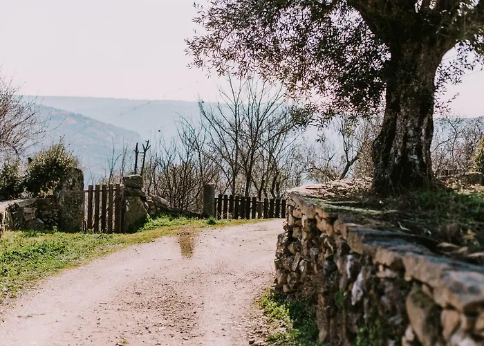 Casa Do Regedor Palacoulo