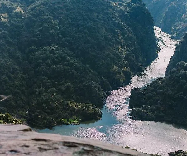 Casa Do Regedor 乡村民宿 Palacoulo